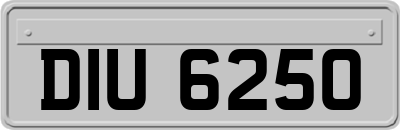 DIU6250