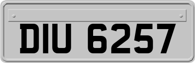 DIU6257