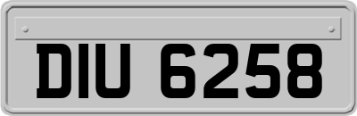 DIU6258