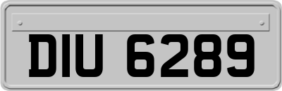 DIU6289