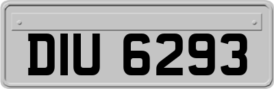 DIU6293