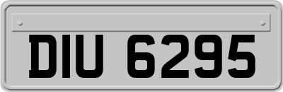 DIU6295