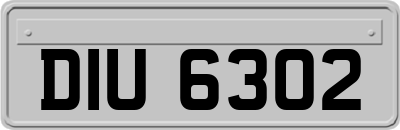 DIU6302