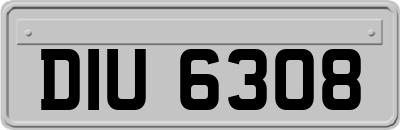 DIU6308