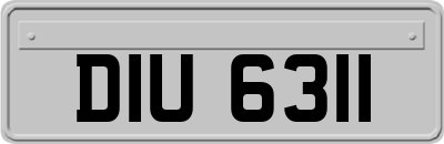 DIU6311