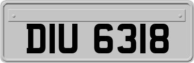 DIU6318