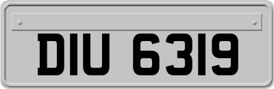 DIU6319