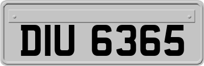 DIU6365