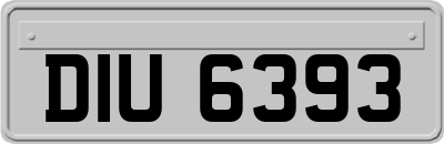 DIU6393