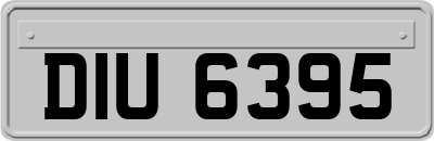 DIU6395