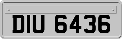 DIU6436