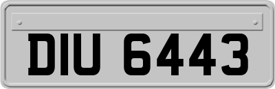 DIU6443
