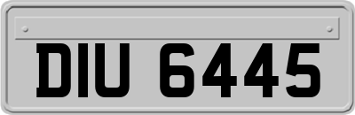 DIU6445