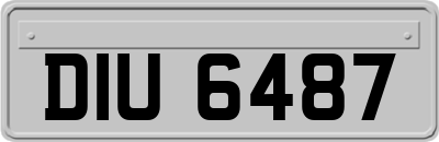 DIU6487