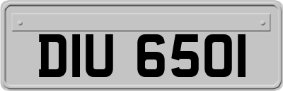DIU6501