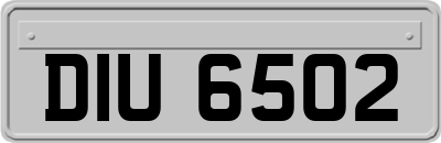 DIU6502