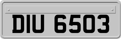 DIU6503