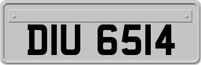 DIU6514