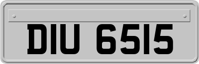 DIU6515