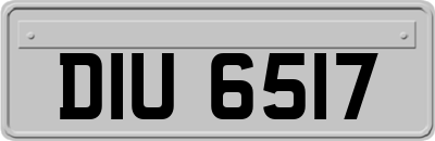 DIU6517