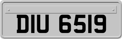 DIU6519