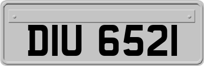 DIU6521