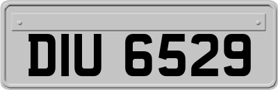 DIU6529