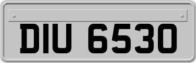 DIU6530