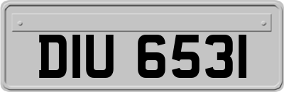 DIU6531