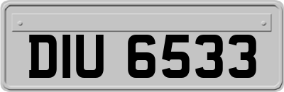 DIU6533