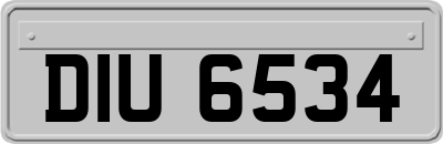 DIU6534
