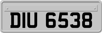 DIU6538