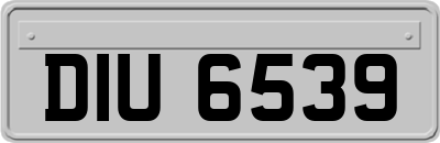 DIU6539