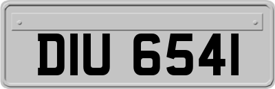 DIU6541