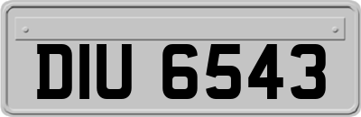 DIU6543
