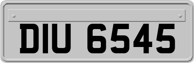 DIU6545