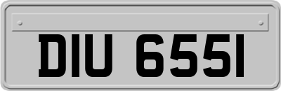 DIU6551