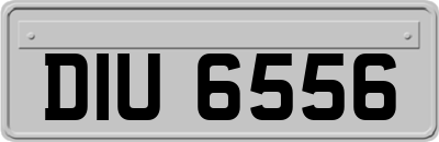 DIU6556
