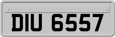 DIU6557