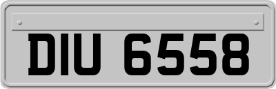 DIU6558