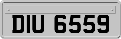 DIU6559