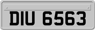 DIU6563