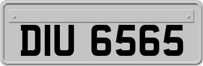 DIU6565