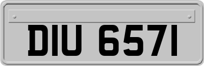 DIU6571