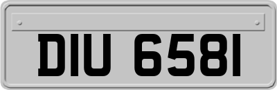 DIU6581