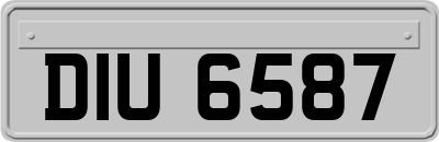 DIU6587