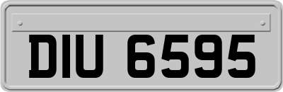 DIU6595
