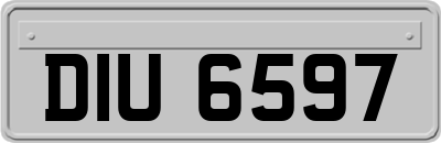 DIU6597