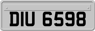DIU6598