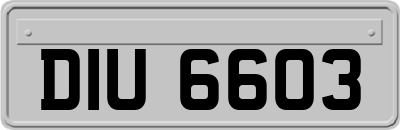 DIU6603